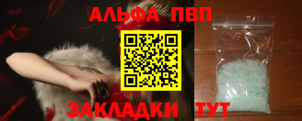 Alfa_PVP СК КРИС Майкоп