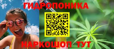 стафф Заводоуковск