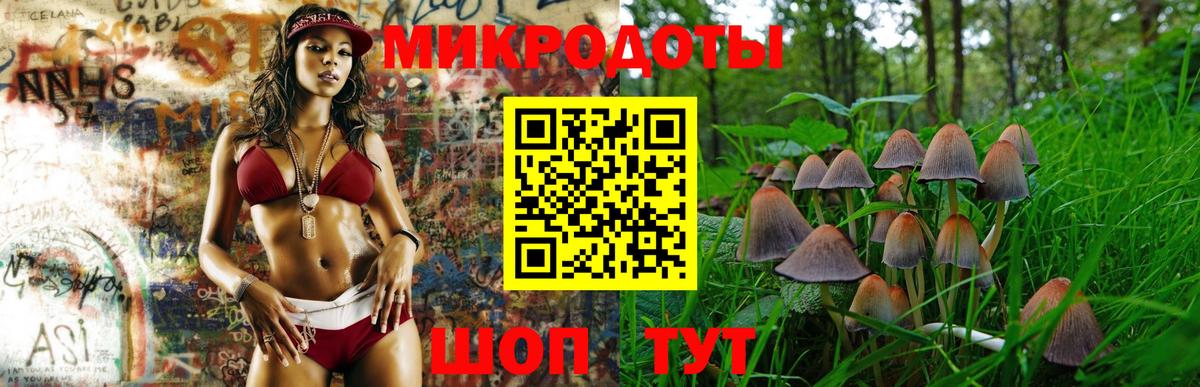 купить   Вход с VPN  Майкоп  Псилоцибиновые грибы GOLDEN TEACHER 